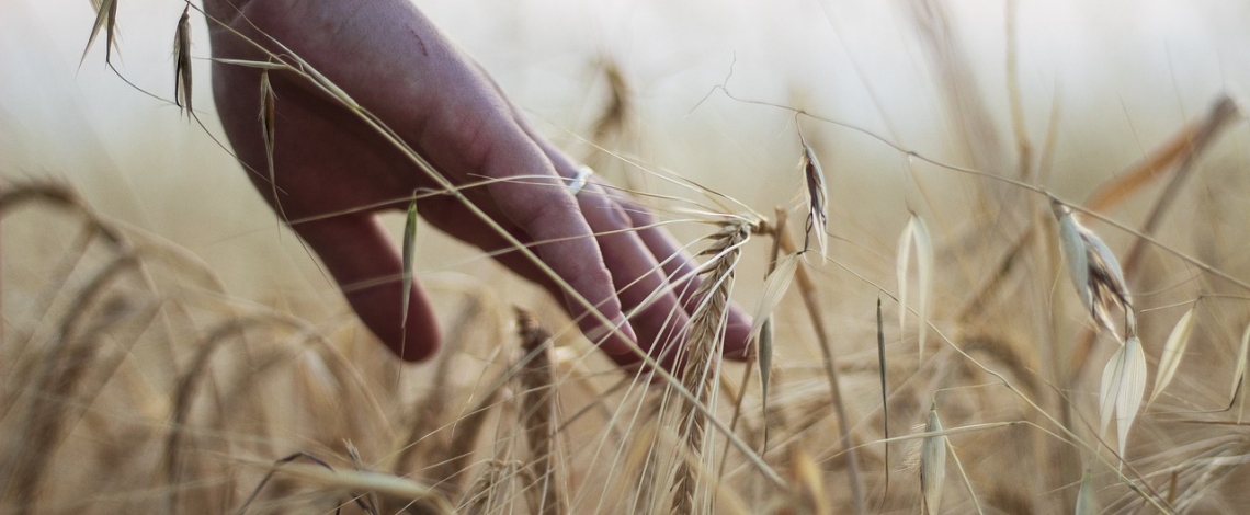 EU Agri-food days 2024