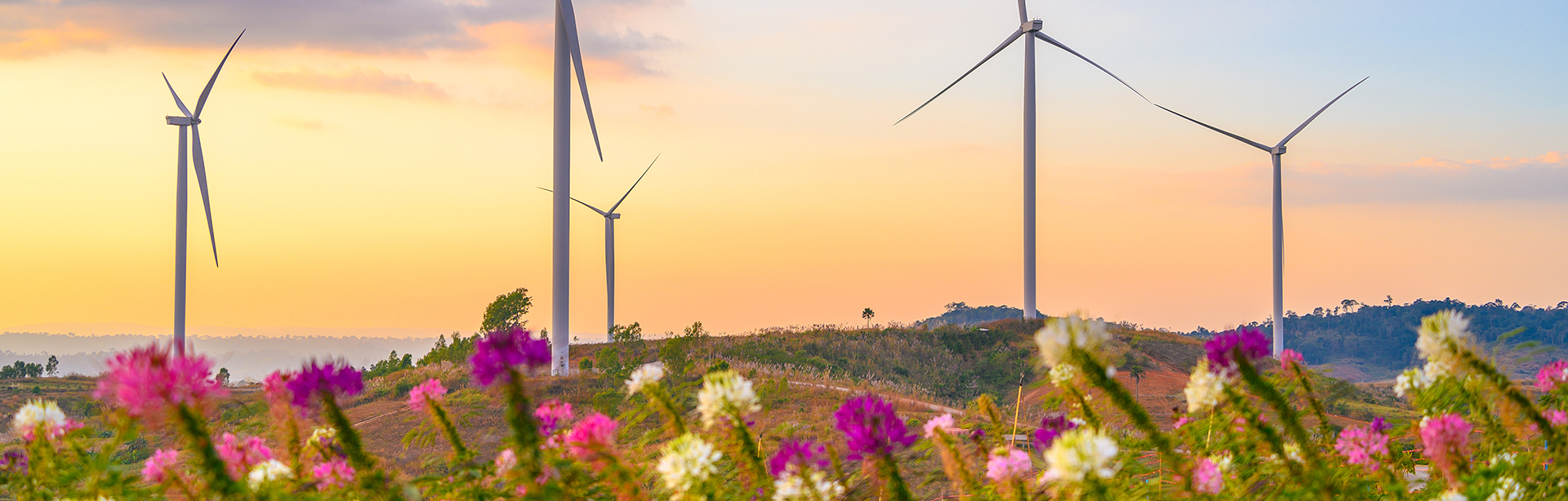 Il nuovo Consiglio Direttivo del Comitato Ambiente ed Energia di AICQ