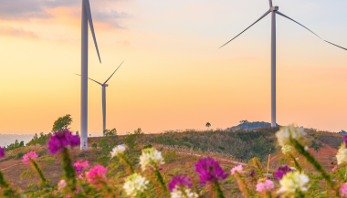 Il nuovo Consiglio Direttivo del Comitato Ambiente ed Energia di AICQ
