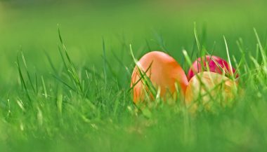 Buona Pasqua dall'Associazione Italiana Cultura Qualità-AICQ-ETS