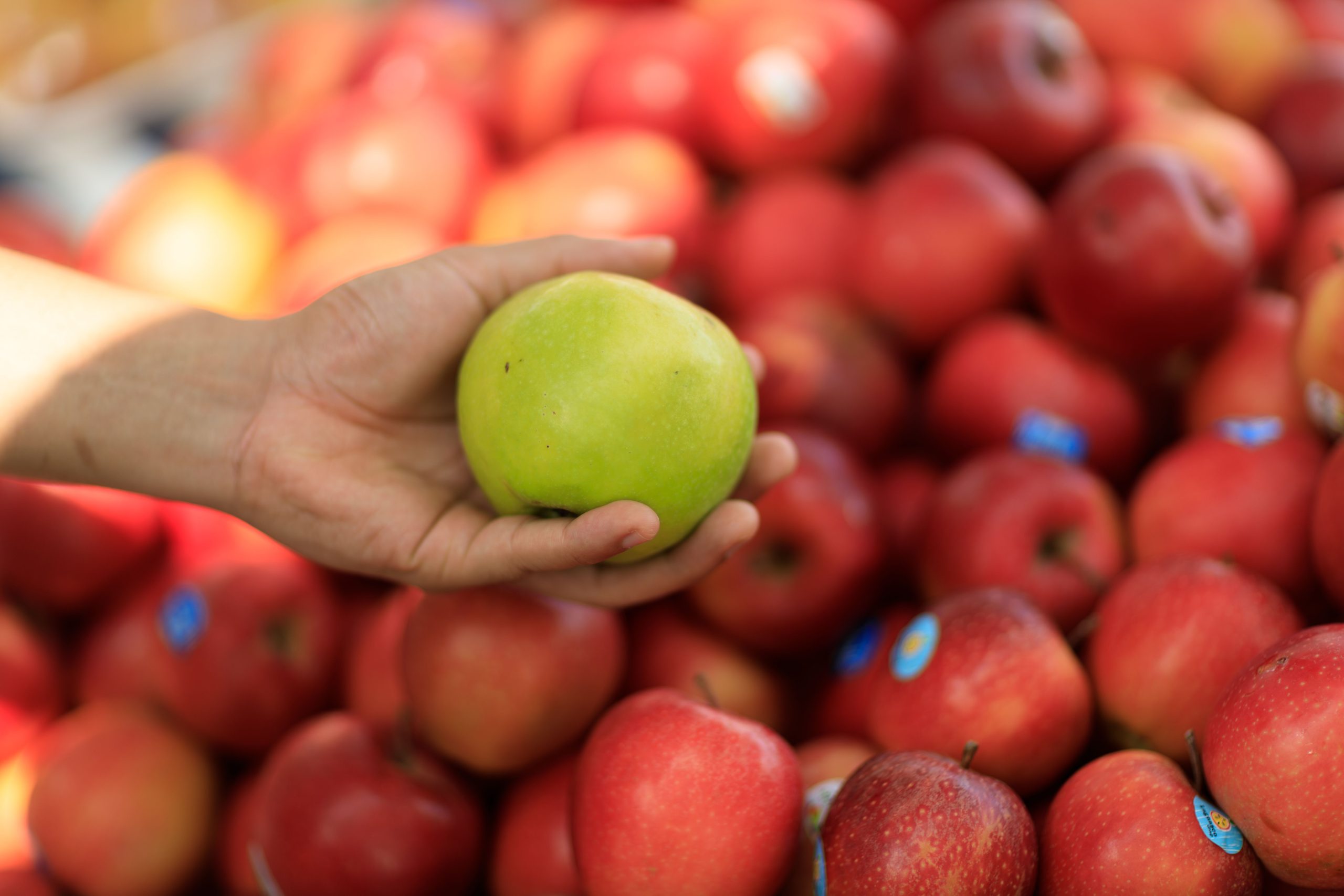 Qualità ed etica nella produzione di alimenti,  il futuro della nutrizione  