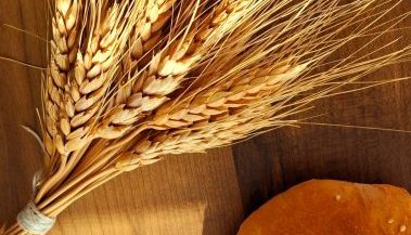 Qualità ed etica nella produzione di alimenti,  il futuro della nutrizione  